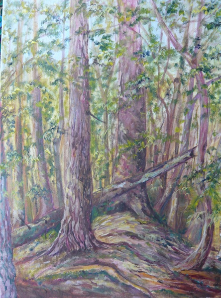 233 Les / The Forrest / 60 x 80 cm / olej na plátně / oil on canvas