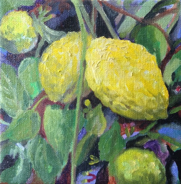 431 Citroník / LemonTree 20 x 20 cm / olej na plátně / oil on canvas
