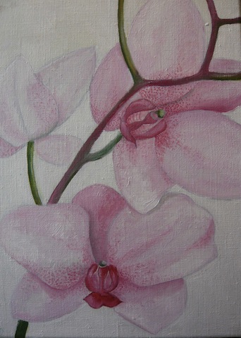130 Orchidej II / Orchid II / 25 x 35cm / olej na plátně / oil on canvas